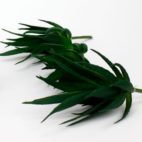 Büyük Boy Telli Yapay Aloe Vera 12 CM - 2